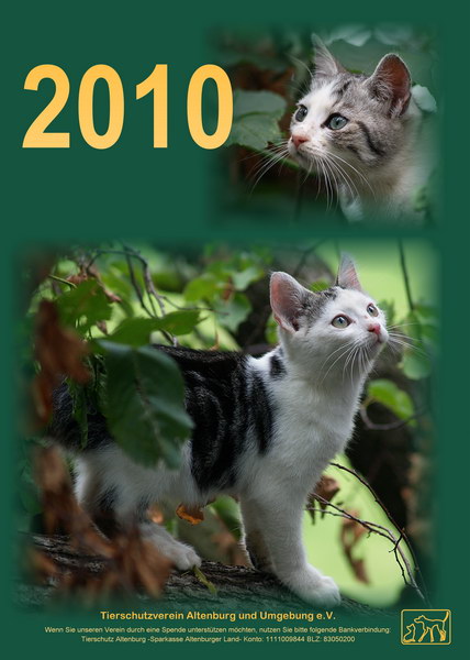 Kalender 2010 Titelblatt