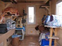 Freigngerhaus Tierheim Altenburg